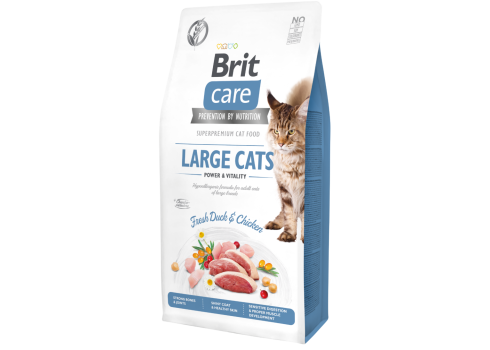 Brit Care Cat Grain-Free Large Cats Power Vitality kassitoit 7kg