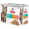 Hill´s einekotikeste Multipack Perfect Weight kassikonserv 12x85g
