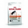 Royal Canin SPORT LIFE AGILITY LARGE koeratoit 4100 15kg, koeratoidud