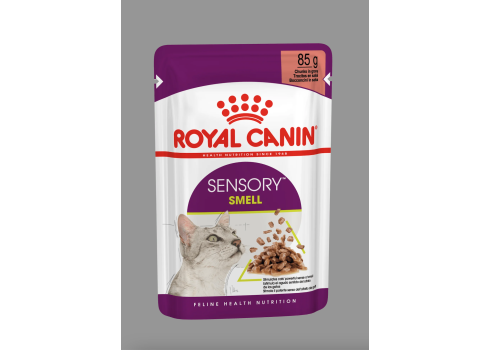 Royal Canin FHN Sensory Smell in Gravy 12x85G kassitoit