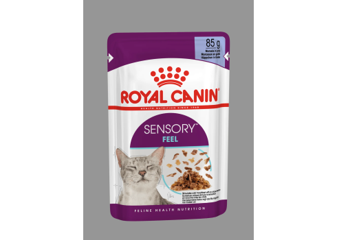 Royal Canin FHN Sensory Feel in Gravy 12x85G kassitoit
