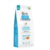 Brit Care JUNIOR LARGE BREED SALMON & POTATO