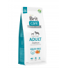 Brit Care ADULT SALMON & POTATO