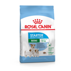 ROYAL CANIN MINI STARTER MOTHER&BABYDOG koeratoit 2kg