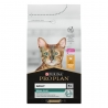 PRO PLAN ADULT Cat Chicken kassitoit 3kg, Pro Plan kassitoit
