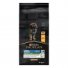 PRO PLAN Large Robust Puppy Chicken koeratoit 12kg, suure kutsika toit