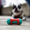 Freedog maiuselelu Peanut koerale 6x13cm