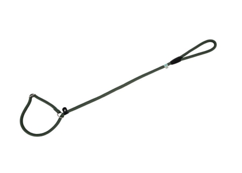 Freedog roheline kaelarihm-jalutusrihm koerale 10mm x 120cm