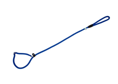 Freedog sinine kaelarihm-jalutusrihm koerale 10mm x 120cm