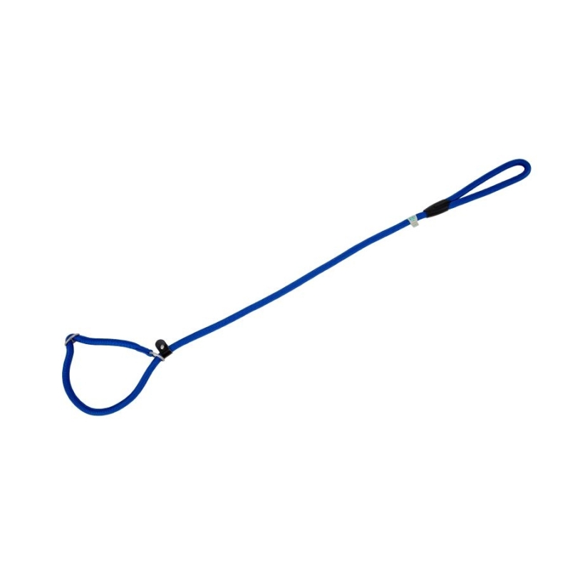 Freedog sinine kaelarihm-jalutusrihm koerale 10mm x 120cm