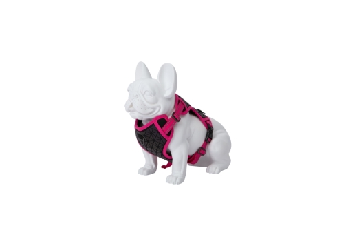 Freedog Boreal fuksiaroosad traksid koerale 15mm 34-63cm