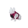 Freedog Boreal fuksiaroosad traksid koerale 15mm 34-63cm