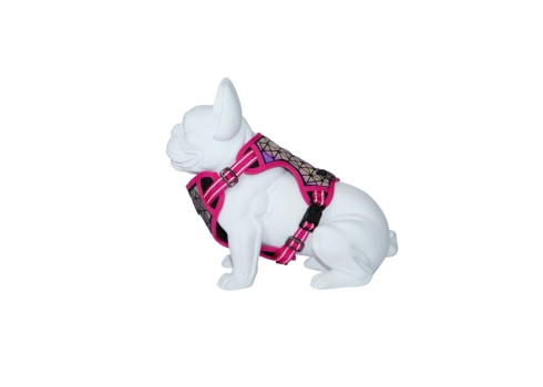 Freedog Boreal fuksiaroosad traksid koerale 15mm 34-63cm