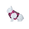 Freedog Boreal fuksiaroosad traksid koerale 15mm 34-63cm