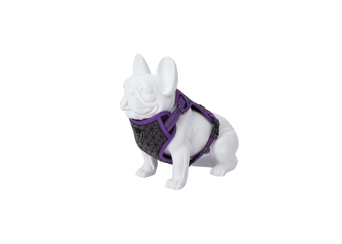 Freedog Boreal sirelilillad traksid koerale 15mm 34-63cm