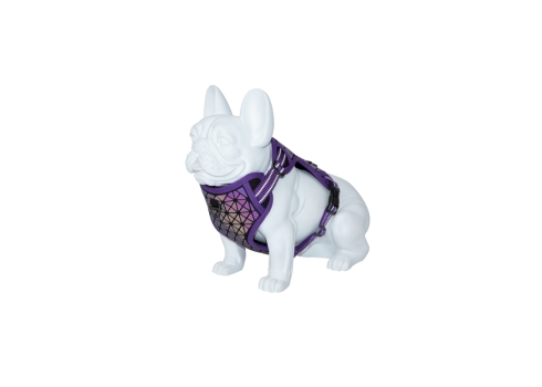 Freedog Boreal sirelilillad traksid koerale 15mm 34-63cm