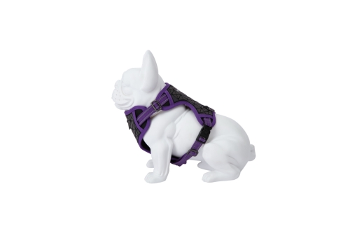 Freedog Boreal sirelilillad traksid koerale 15mm 34-63cm