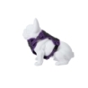 Freedog Boreal sirelilillad traksid koerale 15mm 34-63cm