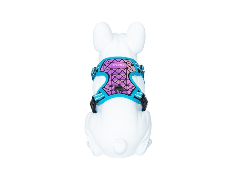 Freedog Boreal kaprisinised traksid koerale 15mm 34-63cm