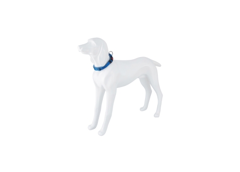 Freedog Extreme nailonist sinine kaelarihm koerale 30mm x 51-71cm
