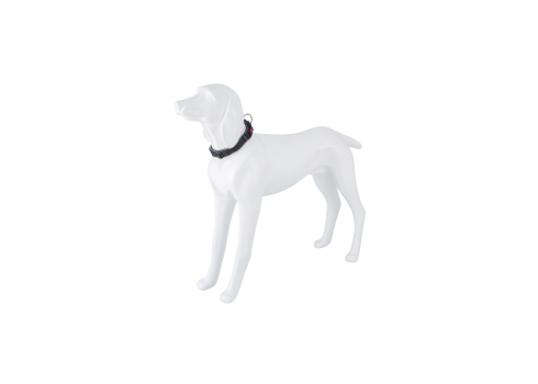 Freedog Extreme nailonist must kaelarihm koerale 30mm x 51-71cm