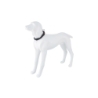 Freedog Extreme nailonist must kaelarihm koerale 30mm x 51-71cm
