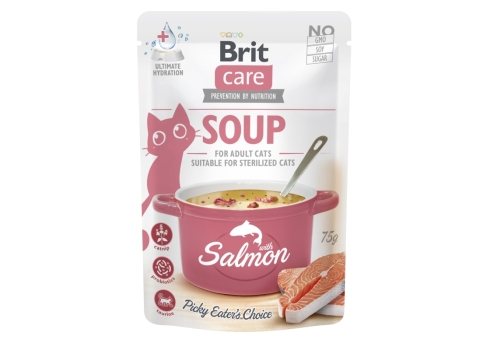 Brit Care Soup with Salmon lõhesupp kassidele 75g