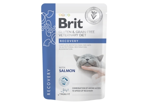 Brit Veterinary Diet Recovery märgtoit kassidele 85g
