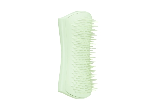 Pet Teezer roheline grooming hari kutsikale