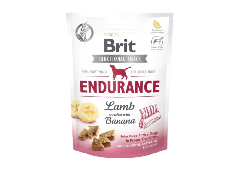 Brit Care Functional Endurance närimismaius koertele 150g