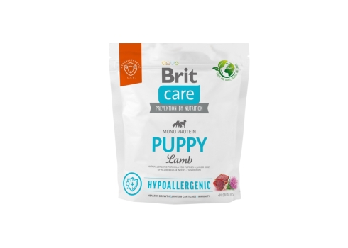 Brit Care Hypoallergenic Puppy Lamb koeratoit 1kg