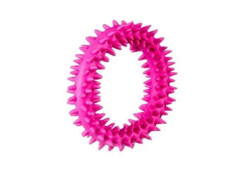 Barry King roosa närimismänguasi kutsikatele XS 9,5cm