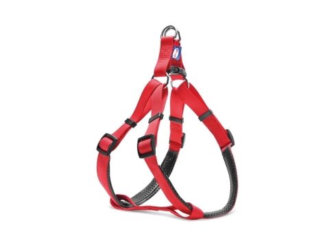 Record punast värvi nailonist traksid koertele S