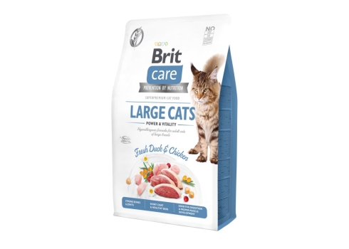Brit Care Cat Grain-Free Large cats Power Vitality kassitoit 2 kg