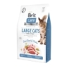 Brit Care Cat Grain-Free Large cats Power Vitality kassitoit 2 kg