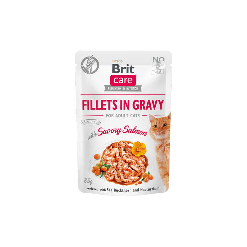 Brit Care Fillets in Gravy Savory Salmon märgtoit kassidele 85g Brit Care Fillets in Gravy Savory Salmon märgtoit kassidele 85g