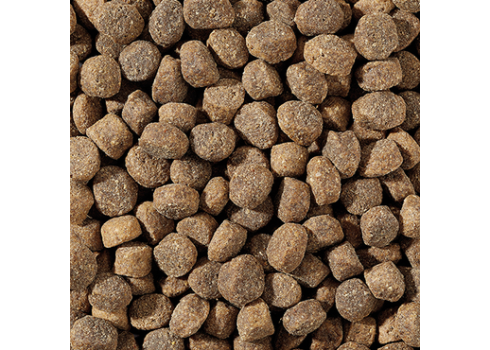 Total Bite Grain Free koeratoit värske lambalihaga 2kg