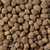 Total Bite Grain Free koeratoit värske lambalihaga 2kg