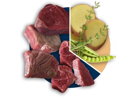 Polaris grainfree adult Beef & Turkey 2,5kg