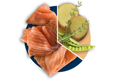 Polaris grainfree adult Salmon & Turkey 2,5 kg