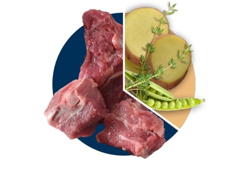 Polaris grainfree puppy large Lamb & Salmon 2,5kg