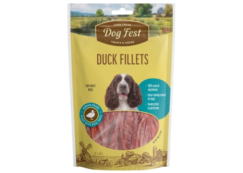Dog Fest koeramaius pardifileed 90g