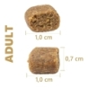 Magnum Ibeeria siga-ookeanikala külmpressitud koeratoit 12kg