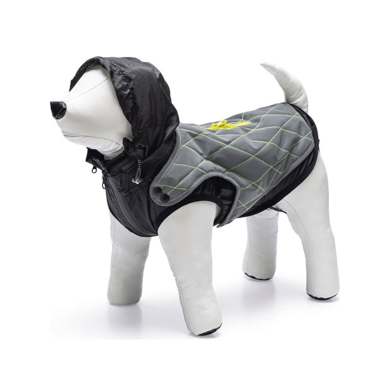 Beeztees Safety Gear Allia jope koerale 40, helendav hall Beeztees Safety Gear Allia jope koerale 40, helendav hall