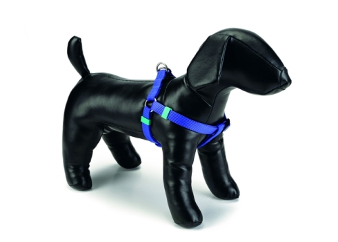 Beeztees koerte seljakinnitusega traksid 35-60 x 15 mm, sinine