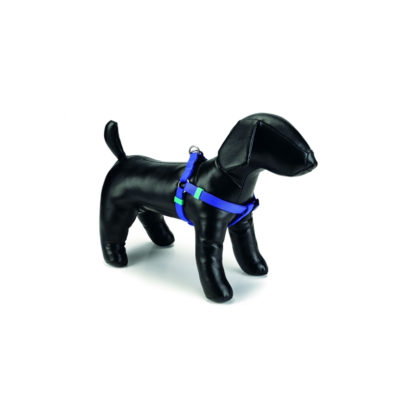 Beeztees koerte seljakinnitusega traksid 46-75 x 20 mm, sinine