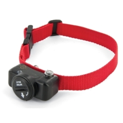PetSafe Delux Ultralight lisa kaelarihm koerale