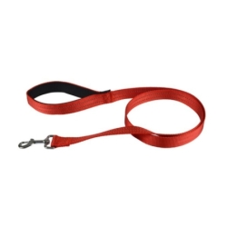 Love Story koera jalutusrihm 120 x 2,5 cm, punane
