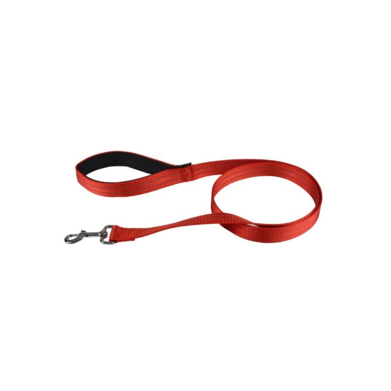 Love Story koera jalutusrihm 120 x 2,5 cm, punane