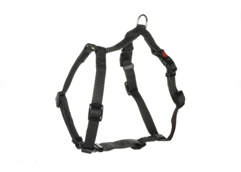 Flamingo koera H-traksid Ziggi M, tumehall